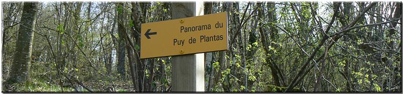 Puy de Plantas 1.jpg